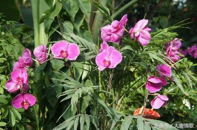 吃瓜闺蜜名称,她们的世界，你了解多少？