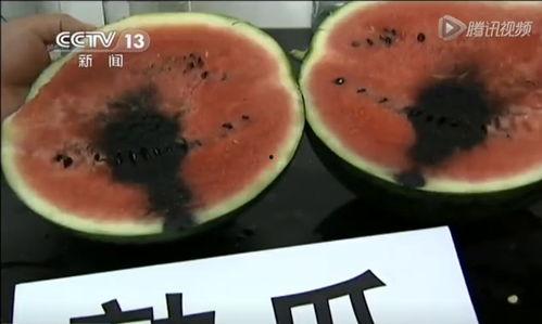 小火龙吃瓜视频在哪看,热门平台一览