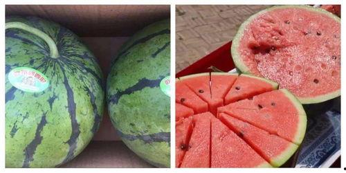 纯正吃瓜,纯正吃瓜群众带你领略幕后风云