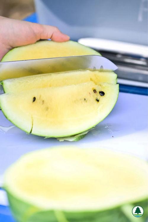 香港卫视吃瓜,揭秘明星幕后真相