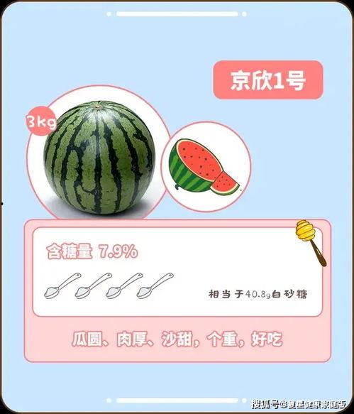 专业吃瓜指南