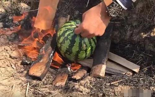 瓜哥吃瓜奇葩物品图片,揭秘那些令人瞠目结舌的“吃瓜”神器