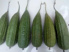 吃瓜关注谁,揭秘娱乐圈幕后风云