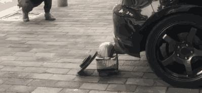 带你吃瓜奇葩射击,奇葩射击游戏体验全解析