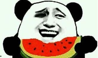 吃瓜到底什么梗