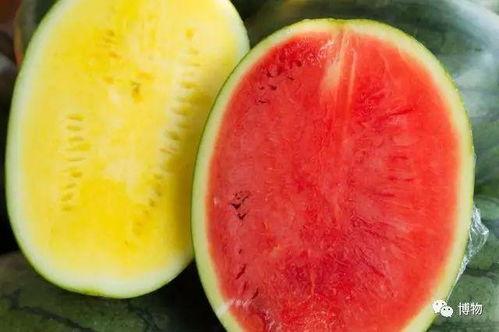 吃各种高端的瓜,高端瓜果的美食之旅