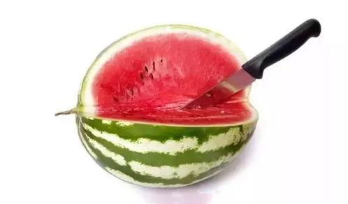 吃各种高端的瓜,高端瓜果的美食之旅