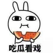 自制吃瓜表情,解锁夏日欢乐新姿势