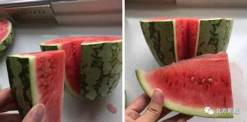 法师吃瓜,揭秘神秘世界背后的八卦风云