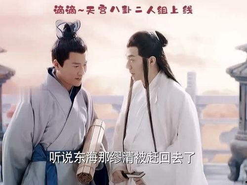 圣叔吃瓜完结,揭秘幕后真相，尘埃落定！