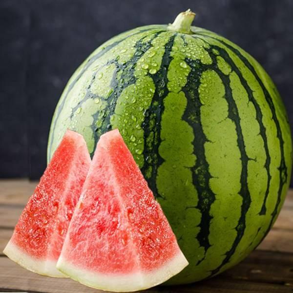 微山还有瓜吃吗