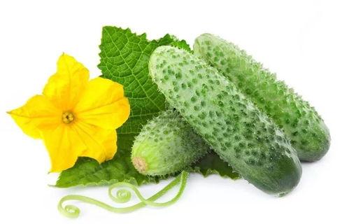 吃瓜系统司景逸,瓜界风云人物深度解析