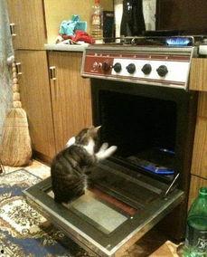 吃瓜吃到正房面前,一场意外的家庭风波