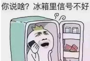 吃瓜要吐皮微博,揭秘网络舆论背后的真相与反思