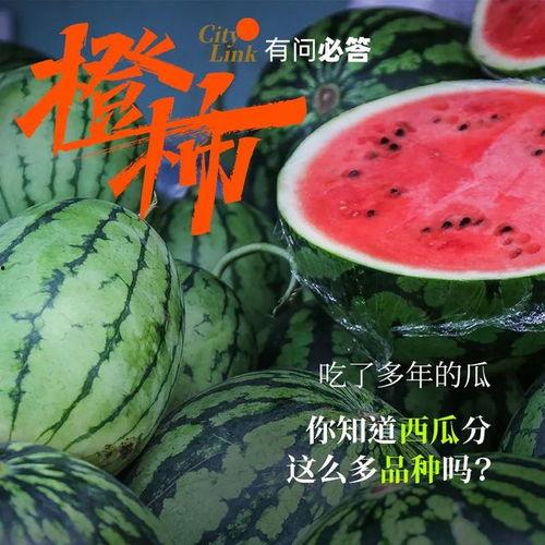 神秘吃瓜人,探寻人间烟火背后的秘密