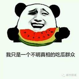 带你吃瓜啥意思,带你领略网络热词“带你吃瓜”的趣味与内涵