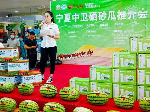 乐购吃瓜,揭秘娱乐圈的甜蜜与苦涩