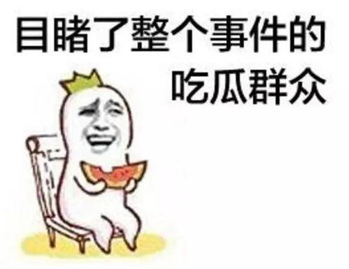 宁红叶吃瓜,揭秘娱乐圈背后的秘密与真相
