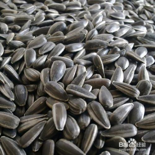 什么瓜可以当瓜子吃,揭秘哪些瓜可以成为佳肴瓜子