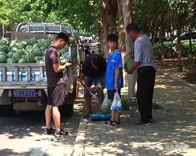 板桥吃瓜群众